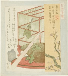 Warbler häkissä, sarjasta "A-sarja Hanazono Groupille (Hanazono bantsuzuki)" tekijältä Totoya Hokkei