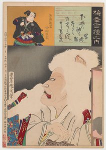 Okazakin kissa (Okazaki Neko) tekijältä Toyohara Kunichika