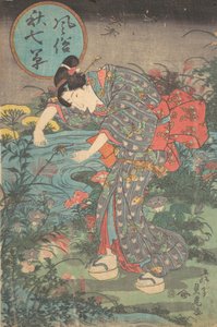 aMuodikkaat seitsemän syksyn kasvia Fuzoku aki nanakusa, ensimmäinen hal..., 1800-luvun ensimmäinen puolisko. tekijältä Toyohara Sadatora