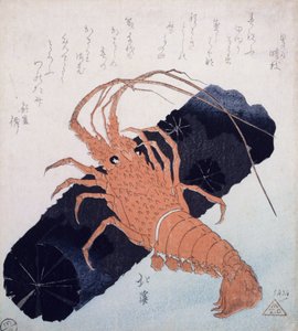 Langoustine with a Block of Charcoal, n. 1830 (värillinen puupainatus) tekijältä Toyota Hokkei