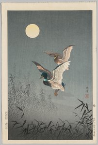 Tokion näkymät: Ducks tekijältä Tsuchiya Kōitsu