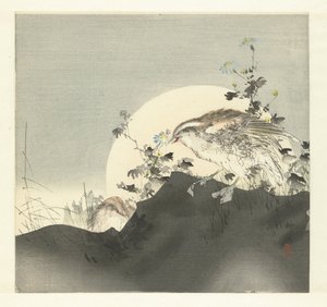 Viiriäiset tekijältä Tsukioka Kogyo