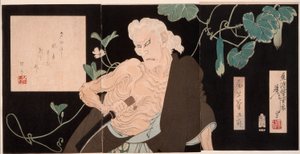  tekijältä Tsukioka Yoshitoshi