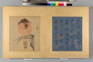  tekijältä Tsunenobu Kano