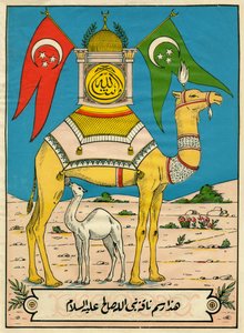 Salehin kameli, suura 7, jae 71: (...) tämä Jumalan kameli on sinulle merkki (...). Suosittuja kuvia, Tunisia