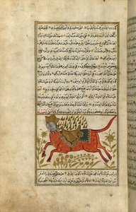 Buraq, profeetta Muhammedin hevonen (tussi ja pigmentit eurooppalaiselle liimapaperille)