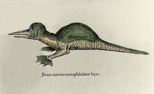 Meren lohikäärmeen esitys. Ulisse Aldrovandin (1522-1605) luonnontieteellisen käsikirjoituksen levy hirviöistä