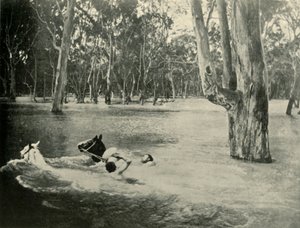 Pankkiiri, 1901. tekijältä Unbekannt