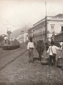 Botafogon katunäkymä, Rio, 1914 tekijältä Unbekannt
