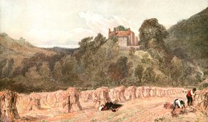 Cornfield, 1840-luku, 1900-luku. tekijältä Unbekannt