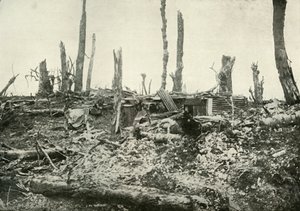 Kaivettu ulos Sylvan Woodissa, 1919. tekijältä Unbekannt