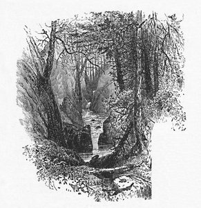 Syöttäjä järvelle, 1883 tekijältä Unbekannt