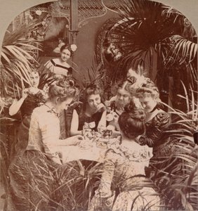 Omaisuus teekupissa, 1901 tekijältä Unbekannt