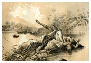Pelottava tapaus, 1883 tekijältä Unbekannt