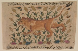 Leijona, folio Shahmardan ibn Abi
