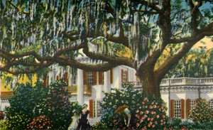 Mansion in the Carolinas, 1942. tekijältä Unbekannt