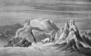 A Party from the Tegetthoff Encounters A Bear, c1876, 1928 tekijältä Unbekannt