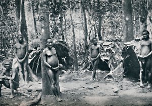 Pygmy-kylä Koillis-Kongon altaassa, 1912 tekijältä Unbekannt