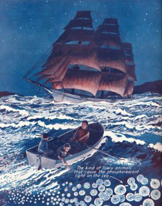 Elävien yövalojen valaisema meri, 1935 tekijältä Unbekannt