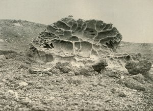 Haalistunut Kenyte-lohkare lähellä talvikorttelia, c1908, 1909. tekijältä Unbekannt