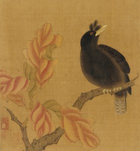 Mustarastas oksalla, syksyn lehdet, Qing-dynastia, 1700-luku. tekijältä Unbekannt
