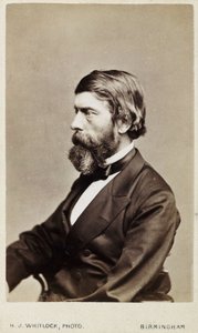 Alexander William Williamson, skotlantilainen kemisti, n. 1865 tekijältä Unbekannt