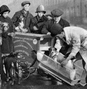 Köyhien sairaiden eläinten hoitolaitoksen ambulanssi, Lontoo, 1926-1927 tekijältä Unbekannt