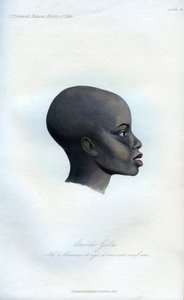 Amochi Galla, muotokuva Gallasta, 1848 tekijältä Unbekannt