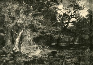 Vanha saksalainen metsä, 1890. tekijältä Unbekannt