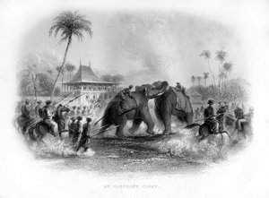 Norsutaistelu, Intia, 1800-luku tekijältä Unbekannt