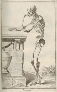 Anatomia. Denis Diderot