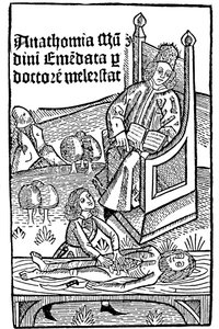 Anatomian esittely, 1493 tekijältä Unbekannt