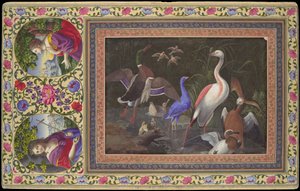 Aquatic Birds at a Pool, Folio Davis-albumista, 1700-luku. tekijältä Unbekannt