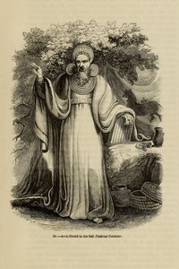Arch-Druid täydessä oikeusasussaan Kirjasta Old England: A Pictorial Museum, 1845 tekijältä Unbekannt