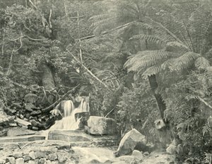 St. Crispins Well, 1901. tekijältä Unbekannt