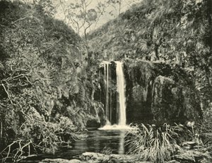 Back Creek Falls, Buchan River, Victoria, 1901. tekijältä Unbekannt