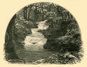 Bagworthy Waterslide, 1898. tekijältä Unbekannt