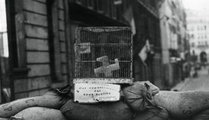 Barrikadi Rue de Chateaudunilla, Pariisin vapauttaminen, elokuu 1944 tekijältä Unbekannt