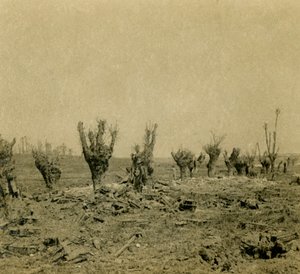 Battlefield, Maurepas, Pohjois-Ranska, c1914-c1918 tekijältä Unbekannt
