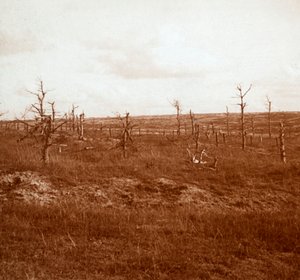 Battlefield, Tahure, Pohjois-Ranska, c1914-c1918 tekijältä Unbekannt