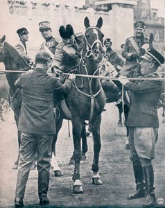 Benito Mussolini, italialainen fasistinen johtaja, 1922-1933 tekijältä Unbekannt