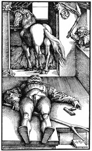 Lumottu sulhanen Nukkuva sulhanen ja velho, 1544 1964. tekijältä Unbekannt