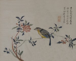 Lintu kukkivalla oksalla, 1800-luku. tekijältä Unbekannt