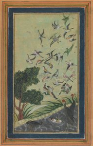 Linnut Baranissa, mahdollisesti Babur-namasta, 1500-luvun lopulla. tekijältä Unbekannt