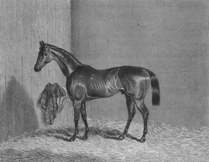 Bloomsbury, 1836-1861, 1911 tekijältä Unbekannt