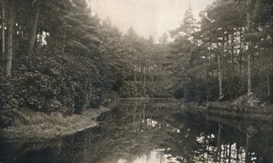 Branksome Chine and Lake, 1910 tekijältä Unbekannt