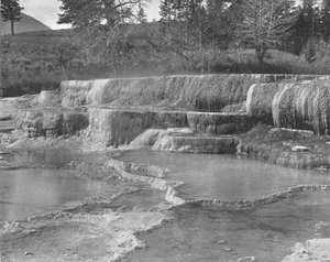 Brown Sulphur Springs, Yellowstonen kansallispuisto, USA, 1900. tekijältä Unbekannt
