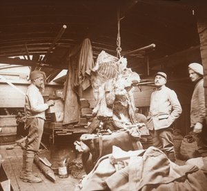 Teurastajat proomulla, Somme, Pohjois-Ranska, c1914-c1918 tekijältä Unbekannt