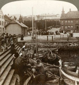 Kalan ostaminen vilkkaasta arktisesta kauppasatamasta, Tromsoe 69° 38 N. Lat., Pohjois-Norja, 1902. tekijältä Unbekannt
