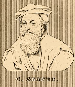 C. Gesner, 1516-1565, 1830 tekijältä Unbekannt